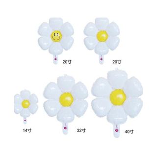 White Daisy